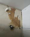 sydney_melman Altpins Profile Picture