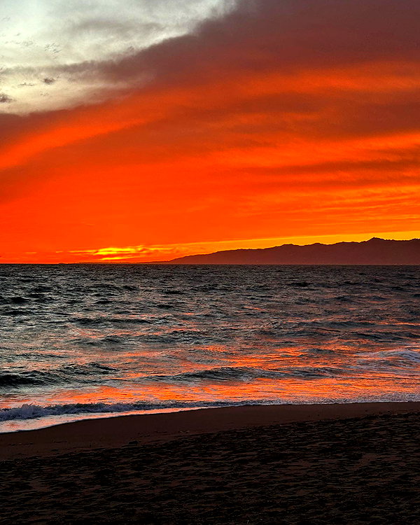 sydney_melman instagram image archive image