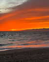sydney_melman Altpins Profile Picture