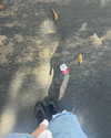sydney_melman Altpins Profile Picture