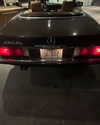 sydney_melman Altpins Profile Picture