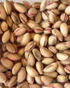 sydney_melman Altpins Profile Picture