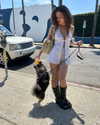 sydney_melman Altpins Profile Picture
