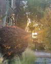 sydney_melman Altpins Profile Picture