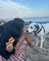 sydney_melman Altpins Profile Picture