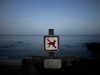 sydney_melman Altpins Profile Picture