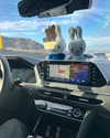 sydney_melman Altpins Profile Picture