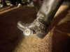 sydney_melman Altpins Profile Picture