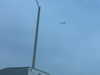 sydney_melman Altpins Profile Picture