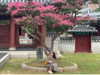 sydney_melman Altpins Profile Picture