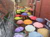sydney_melman Altpins Profile Picture