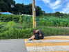 sydney_melman Altpins Profile Picture