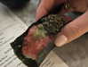 sydney_melman Altpins Profile Picture