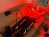 sydney_melman Altpins Profile Picture