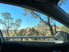 sydney_melman Altpins Profile Picture