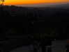 sydney_melman Altpins Profile Picture
