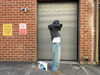 sydney_melman Altpins Profile Picture