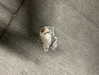 sydney_melman Altpins Profile Picture