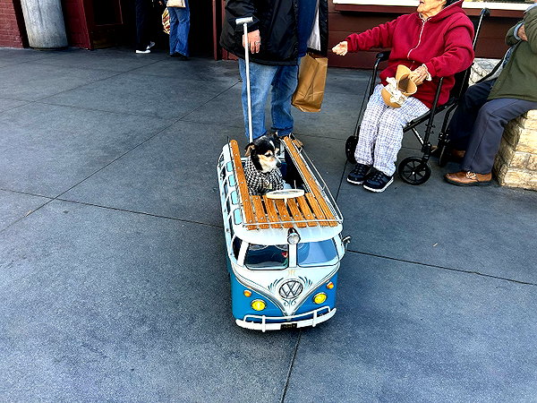sydney_melman instagram image archive image