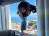 sydney_melman Altpins Profile Picture