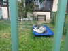 sydney_melman Altpins Profile Picture