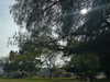 sydney_melman Altpins Profile Picture