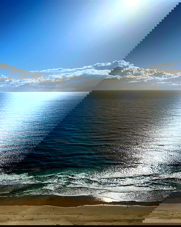 sydney_sweeney image ~ Altpins