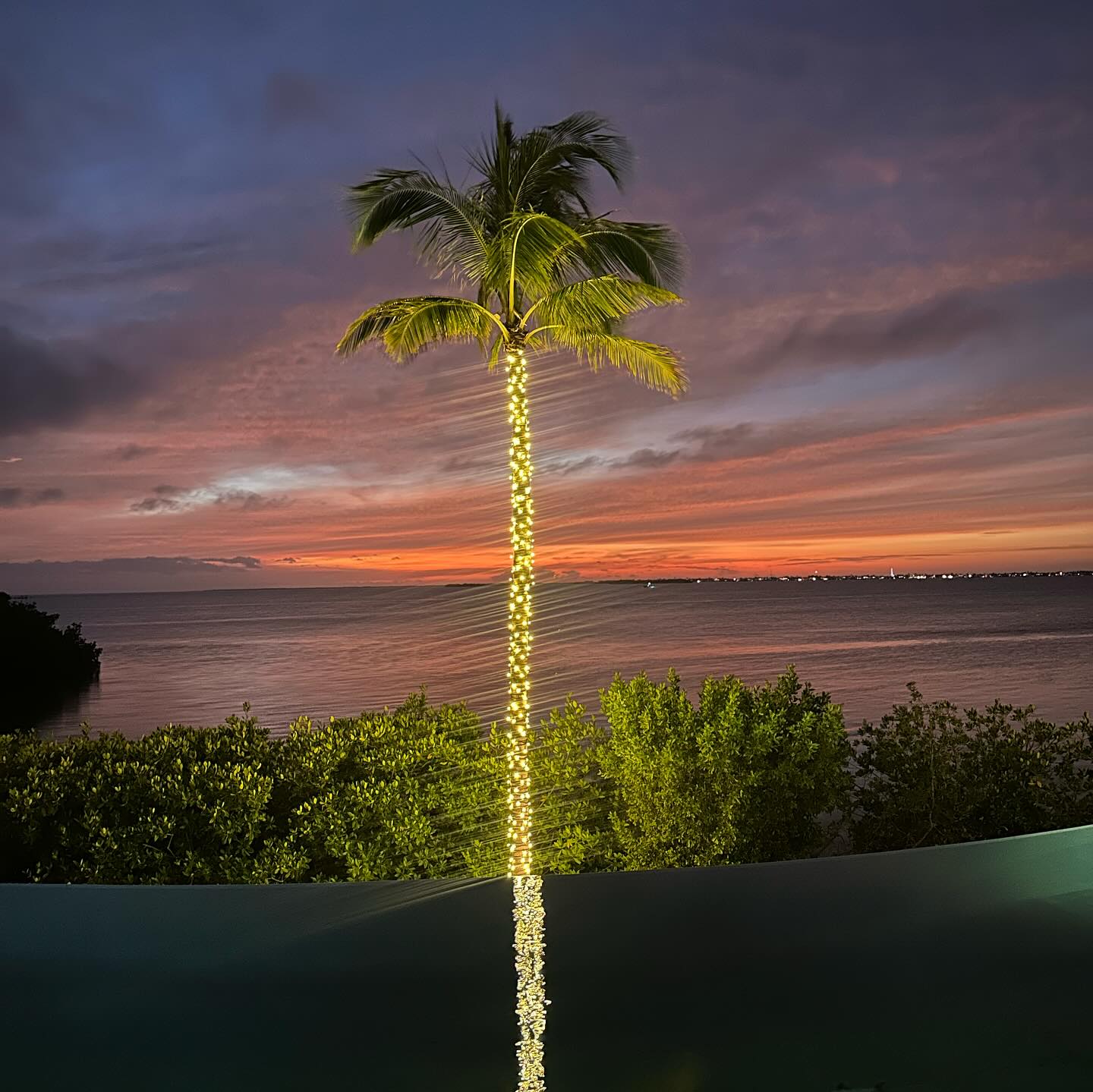 sydney_sweeney instagram image archive image