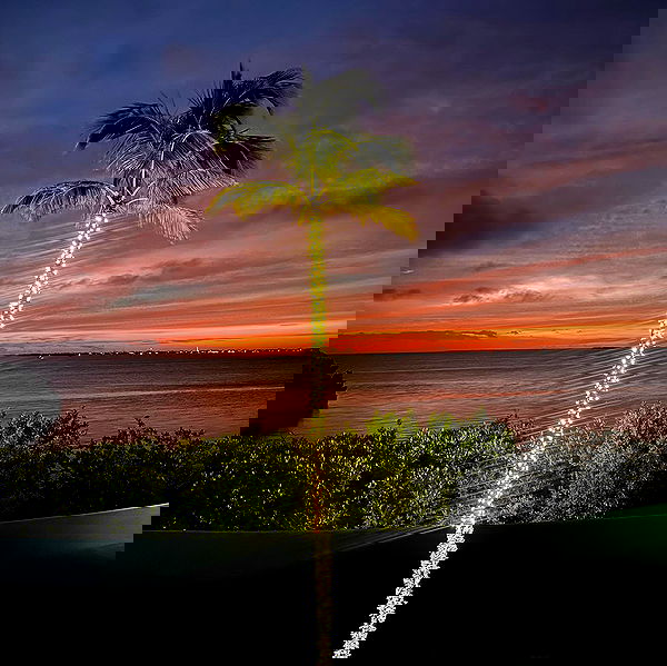 sydney_sweeney image ~ Altpins