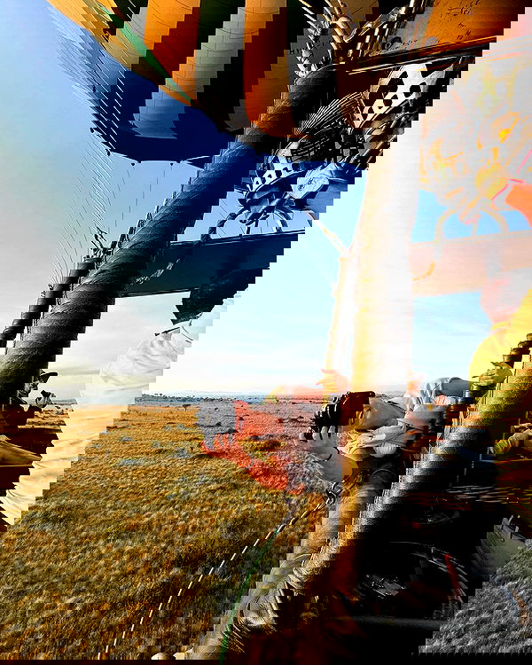 sydney_sweeney image ~ Altpins