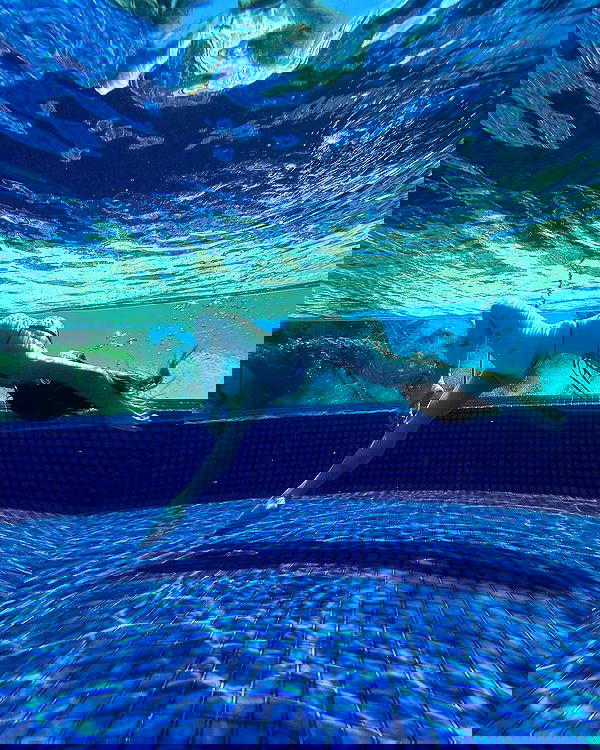 sydney_sweeney image ~ Altpins