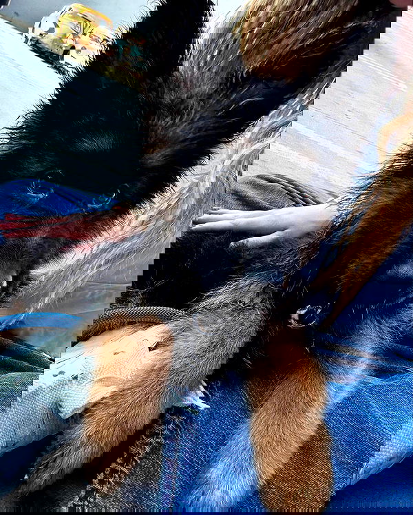 sydney_sweeney image ~ Altpins