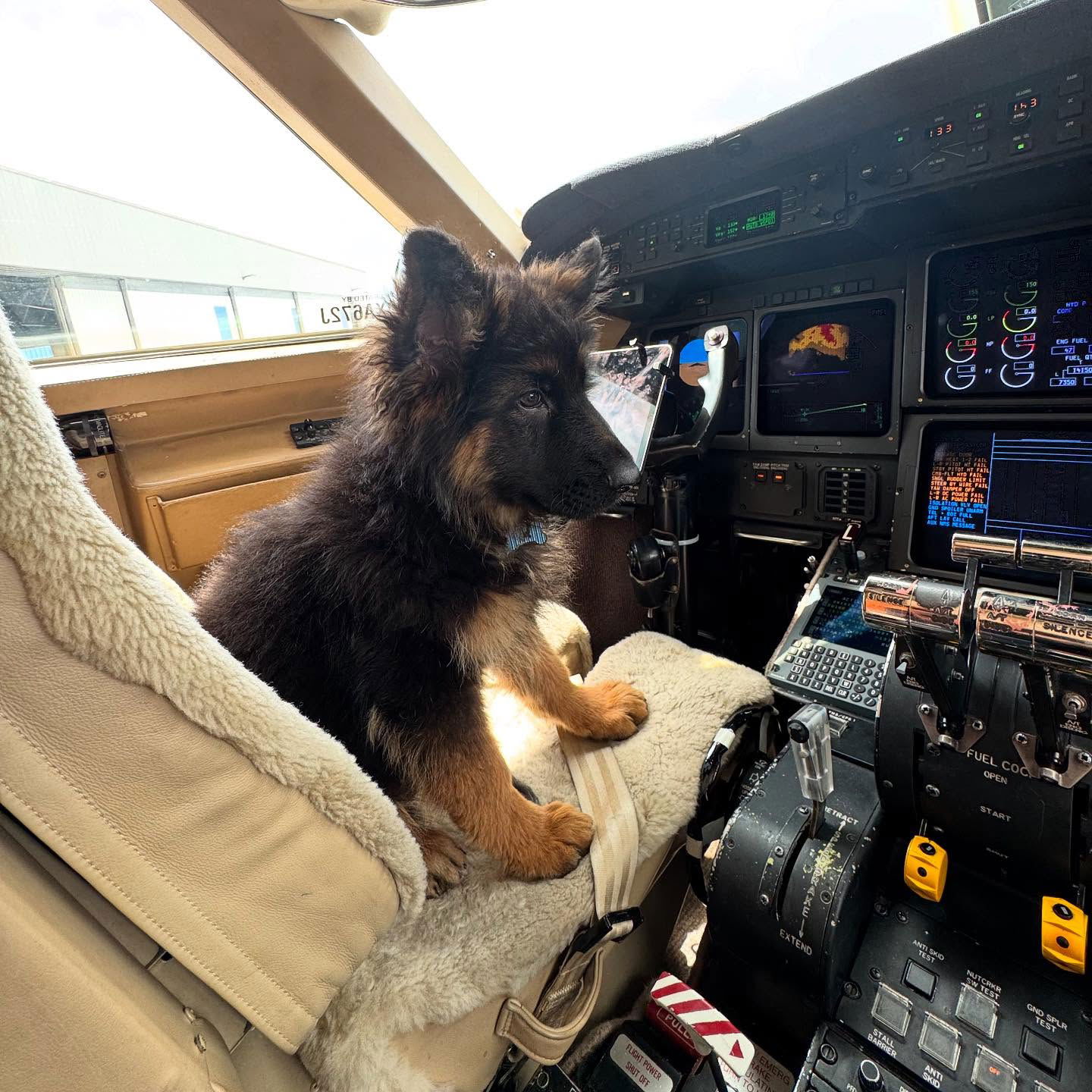 sydney_sweeney instagram image archive image