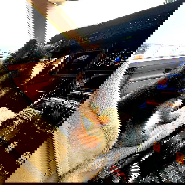 sydney_sweeney image ~ Altpins