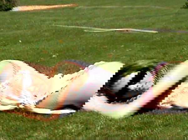 sydney_sweeney image ~ Altpins