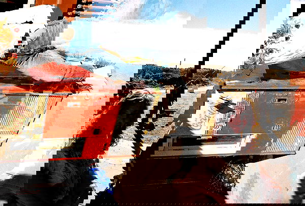 sydney_sweeney image ~ Altpins