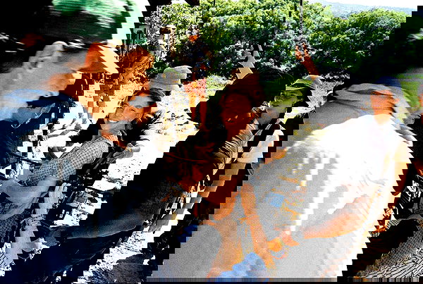 sydney_sweeney image ~ Altpins