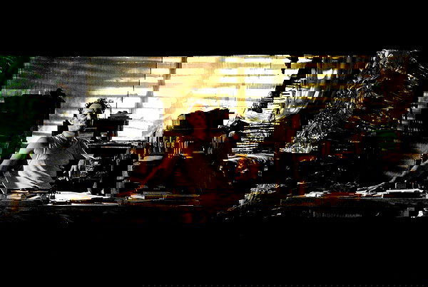 sydney_sweeney image ~ Altpins