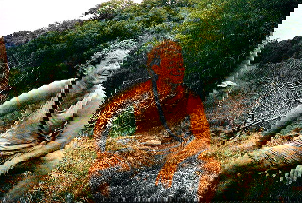 sydney_sweeney image ~ Altpins