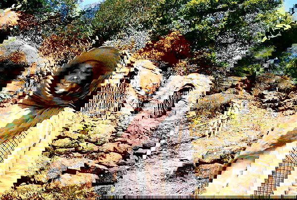 sydney_sweeney image ~ Altpins