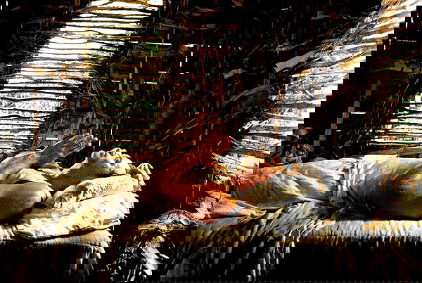 sydney_sweeney image ~ Altpins