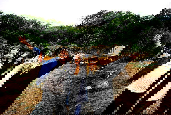 sydney_sweeney image ~ Altpins