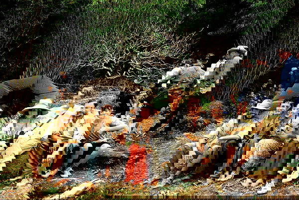 sydney_sweeney image ~ Altpins