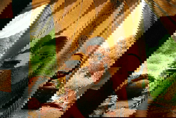 sydney_sweeney image ~ Altpins