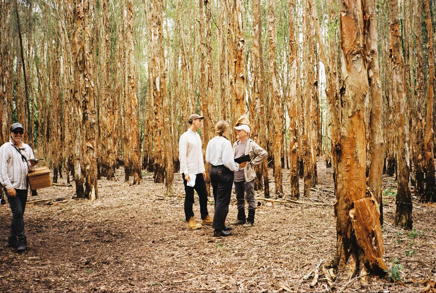 sydney_sweeney instagram image archive image