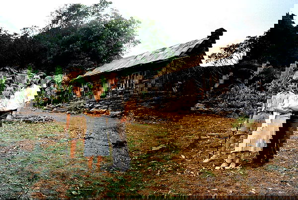 sydney_sweeney image ~ Altpins