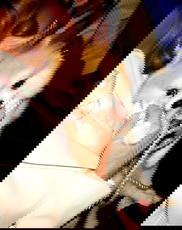 sydney_sweeney image ~ Altpins