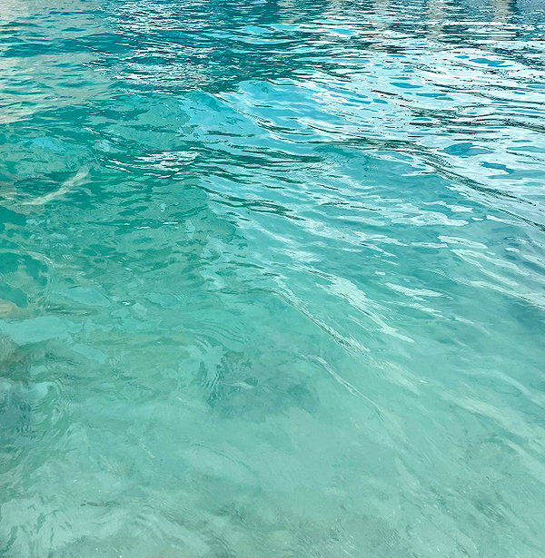 sydneygoldsmithh instagram image archive image