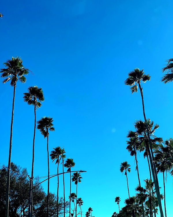 sydneygoldsmithh instagram image archive image