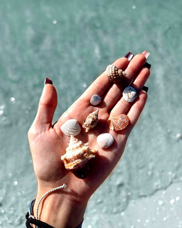 sydneygoldsmithh instagram image archive image